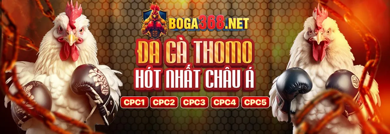 Cờ bạc có trách nhiệm và các biện pháp bảo mật tại kubet11 code